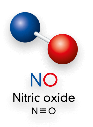 nitric-oxide