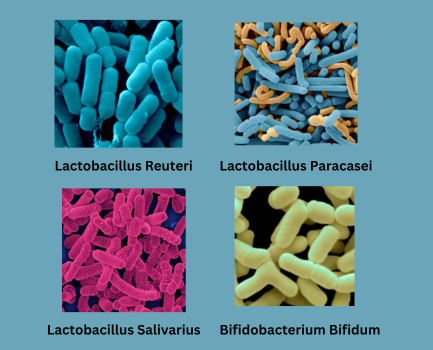 DentPure Ingredients