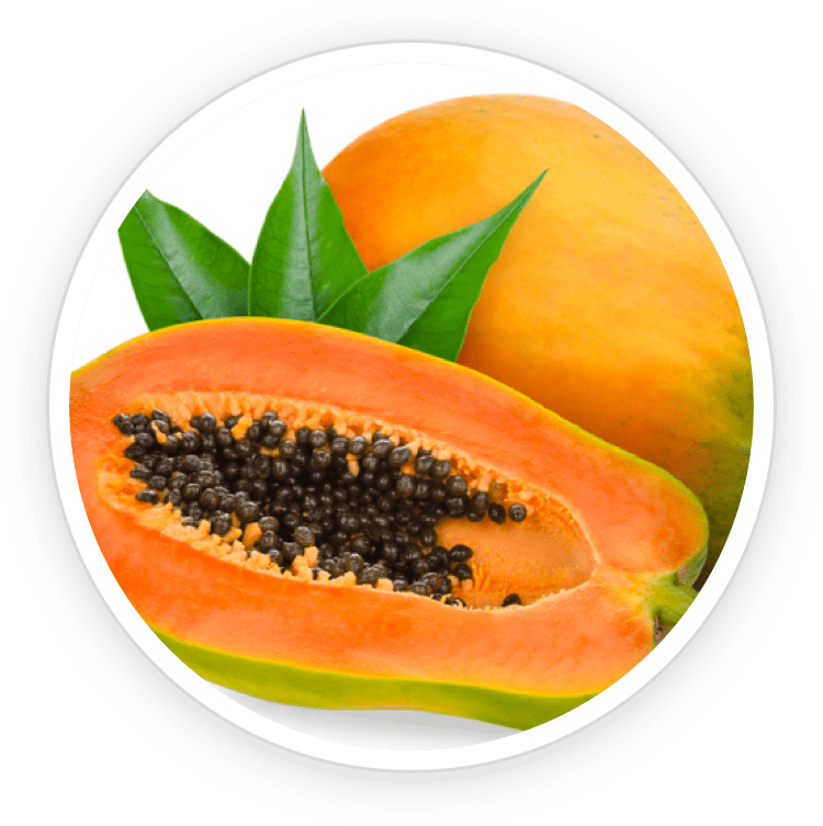 Papaya Seed Extract