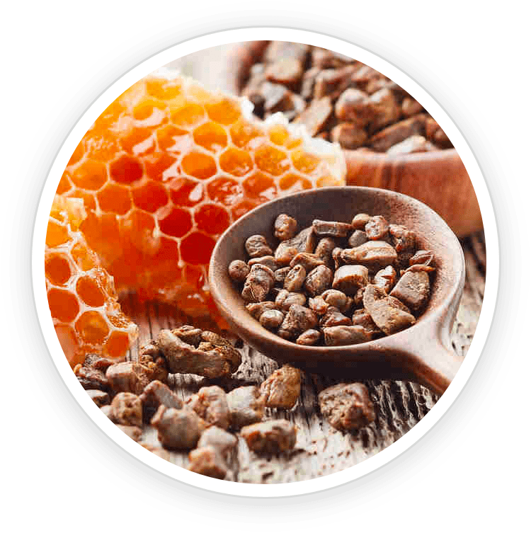 Propolis