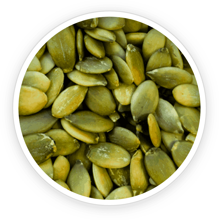 Pumpkin Seed